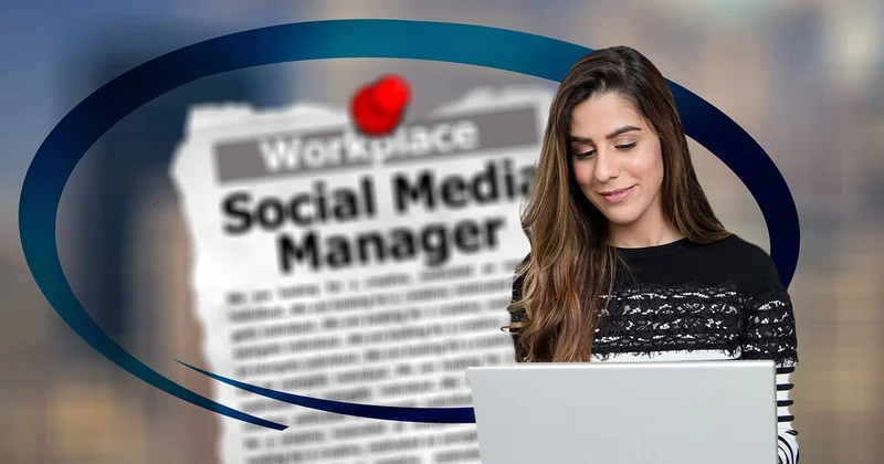 Comment s'organiser : on-page, off-page et technique